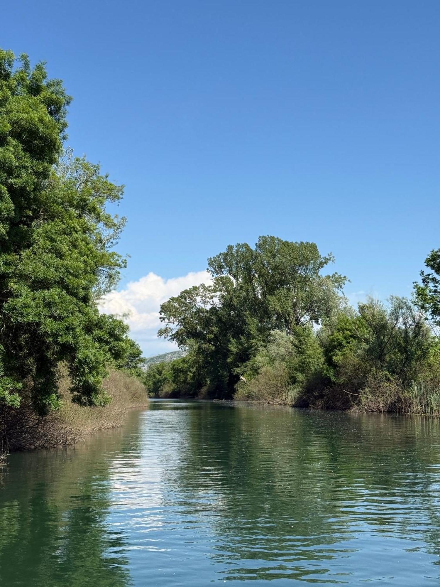 Lake Skadar Paradise Dodosi エクステリア 写真