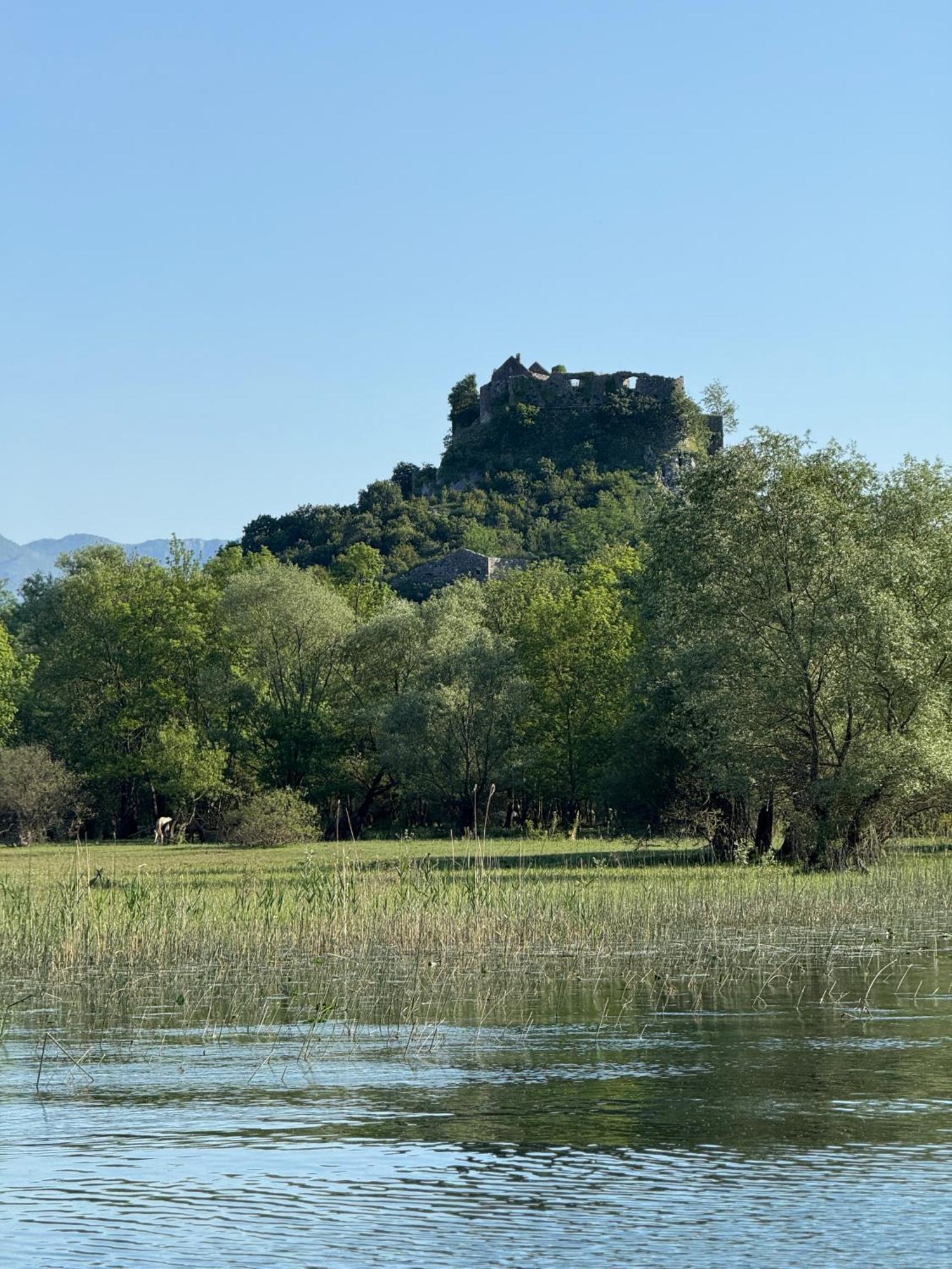 Lake Skadar Paradise Dodosi エクステリア 写真