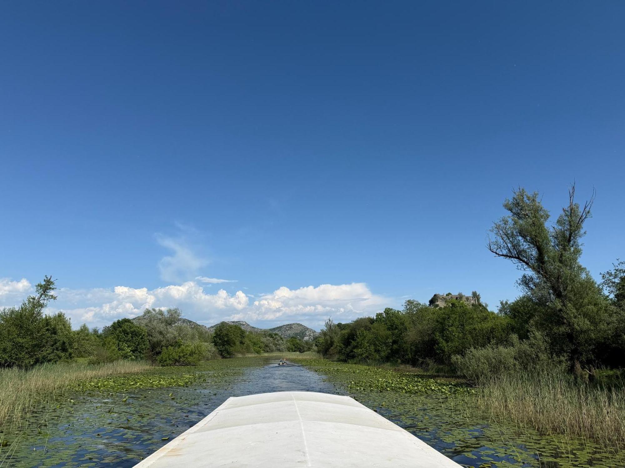 Lake Skadar Paradise Dodosi エクステリア 写真